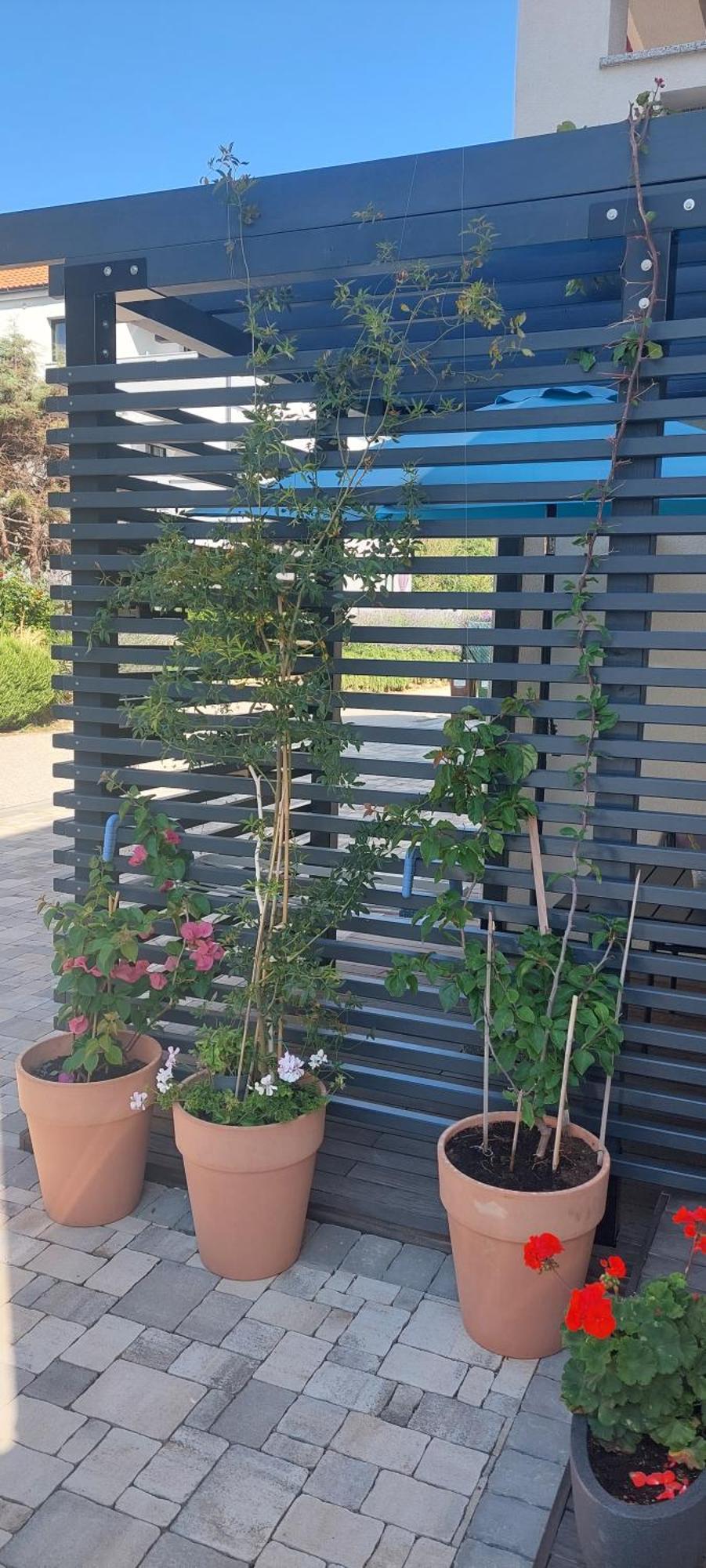 Apartments Matea Baška Εξωτερικό φωτογραφία